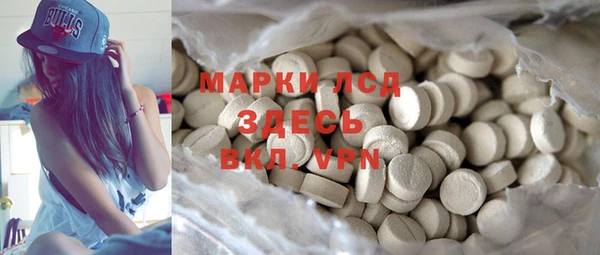 прущие грибы Балахна