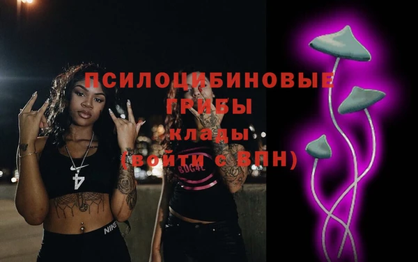 шишки Балабаново