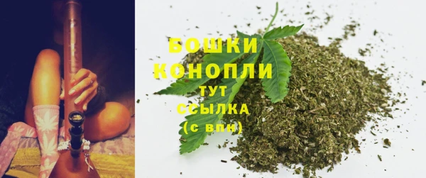 шишки Балабаново